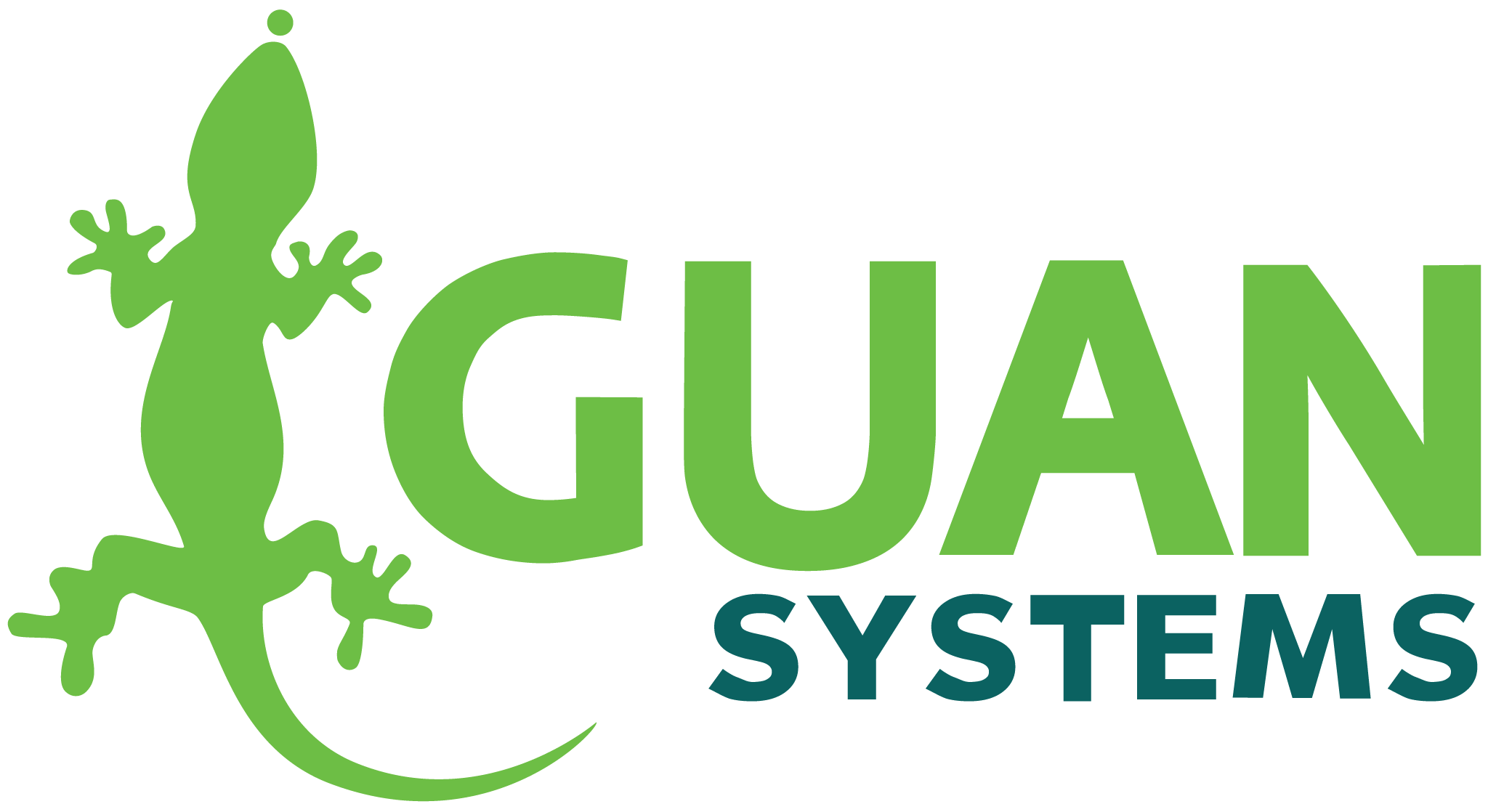 Iguan Systems